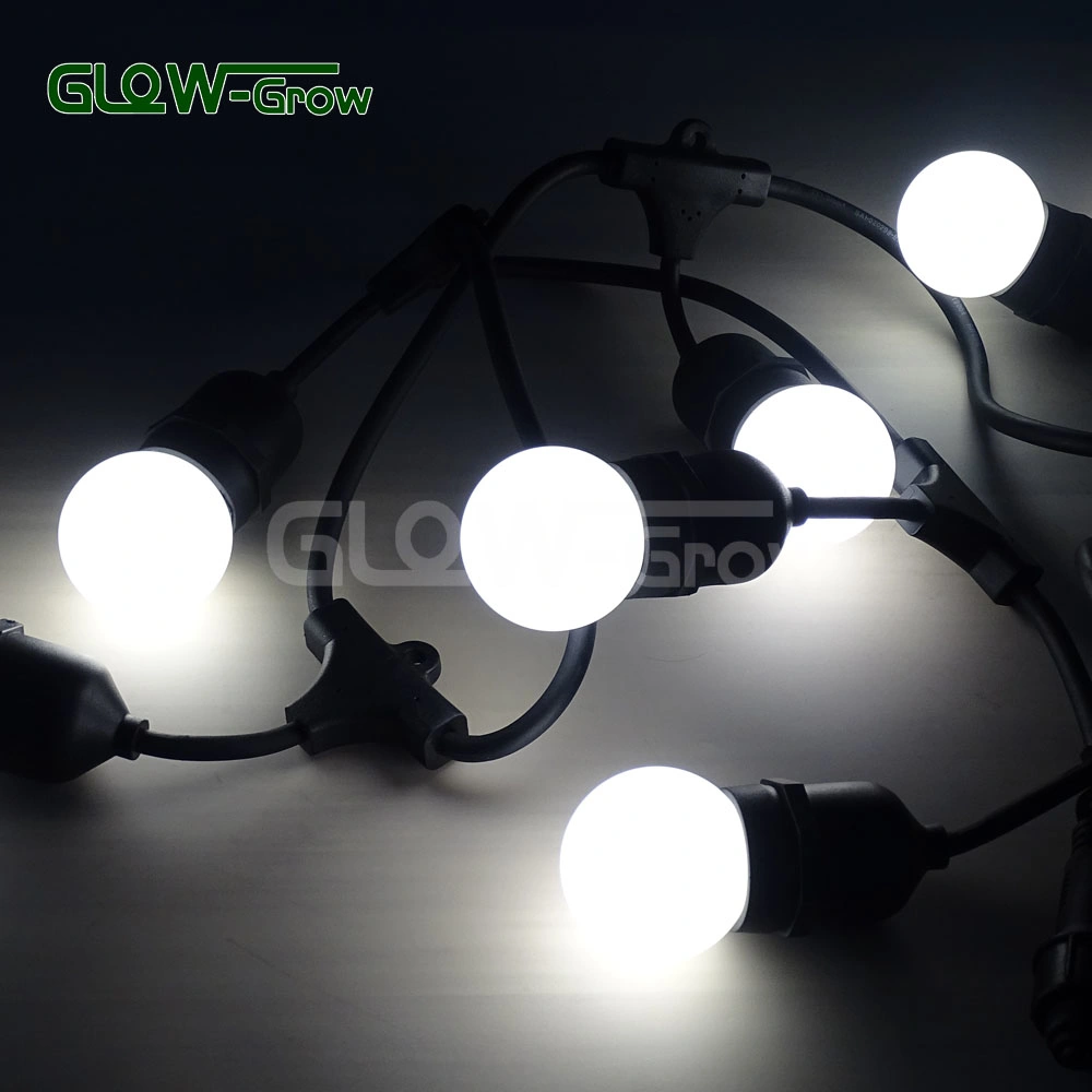 Holiday Use IP65 G45 LED Bulb String Light Festoon Light for Christmas Decoration