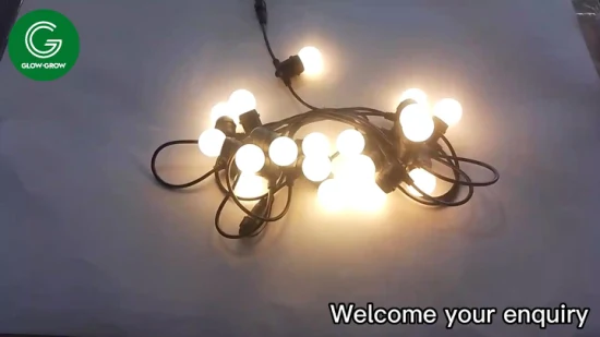 Luz del adorno de la luz de la secuencia del bulbo de IP65 G45 LED del uso del día de fiesta para la decoración de la Navidad